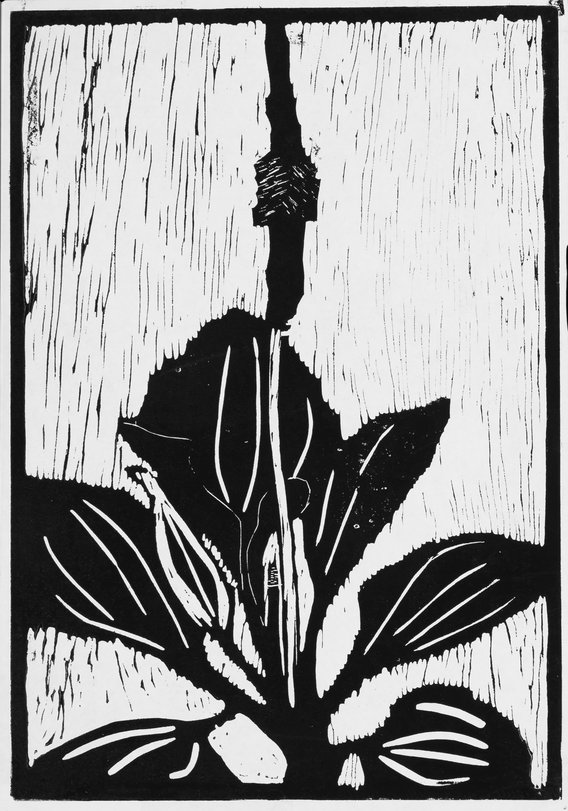 Archiv-Bild „Tiere“