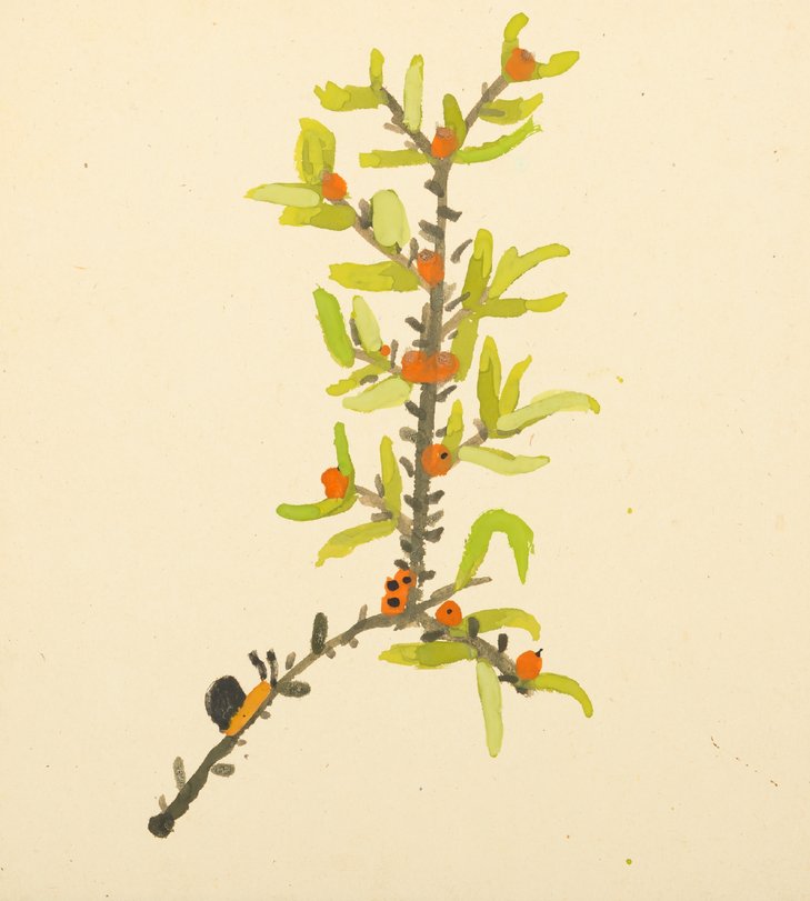 Archiv-Bild „Sanddornzweig“