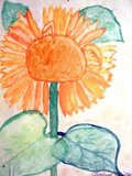 Archiv-Bild „Sonnenblume“