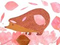 Archiv-Bild „Igel im Laub“