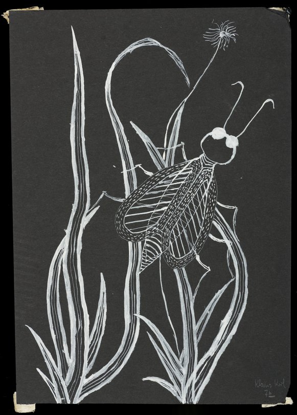 Archiv-Bild „Insekten“