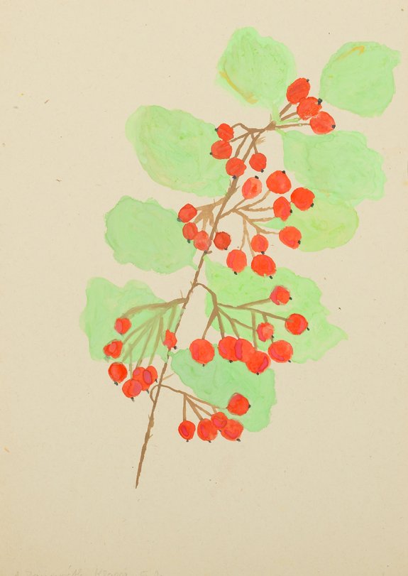 Archiv-Bild „Weißdornbeeren“
