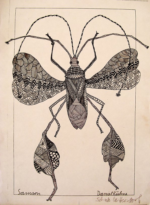 Archiv-Bild „Insekt“