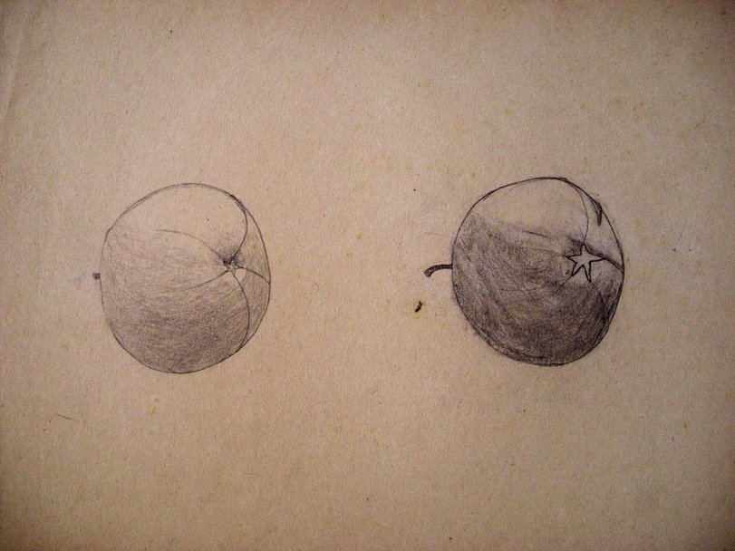 Archiv-Bild „Apfel“