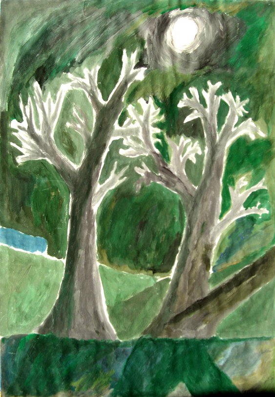 Archiv-Bild „Abendbäume“