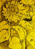 Archiv-Bild „Sonnenblumen“