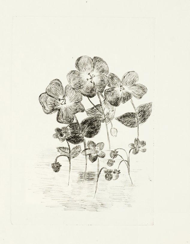 Archiv-Bild „Pflanzen“