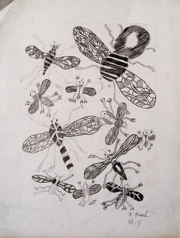 Archiv-Bild „Insekten“