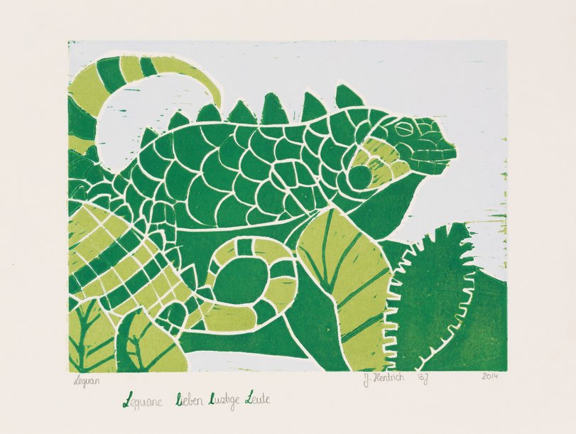 Archiv-Bild „Leguan“