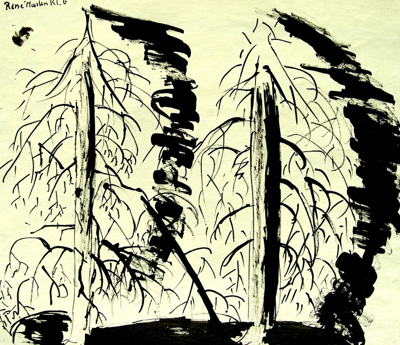 Archiv-Bild „Bäume“