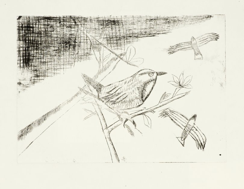 Archiv-Bild „Vögel“