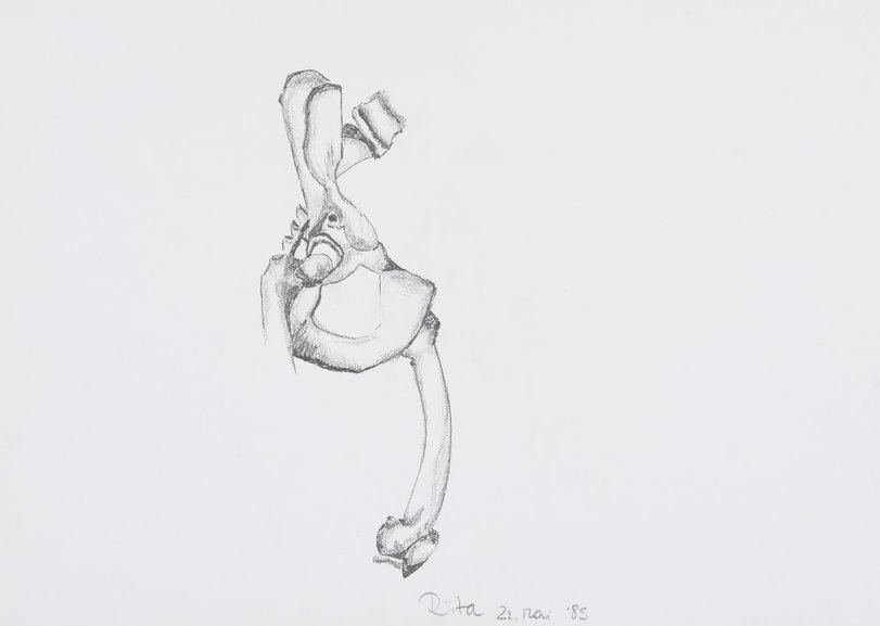 Archiv-Bild „Studie mit Holz und Knochenstrukturen“