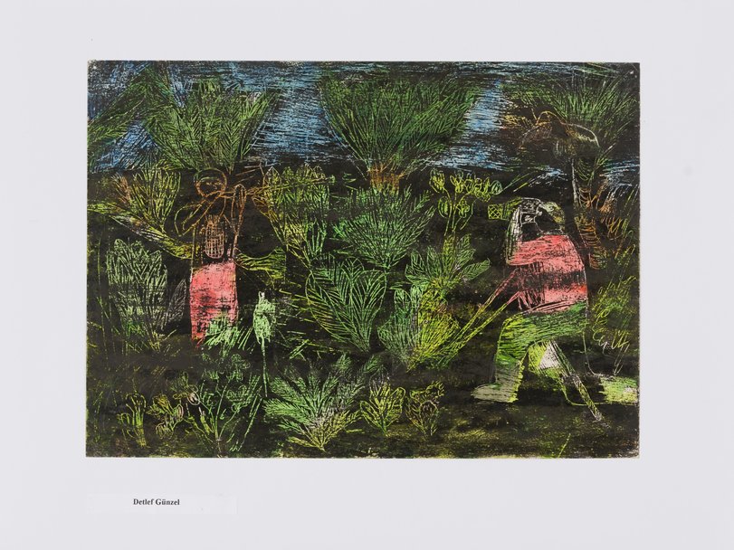 Archiv-Bild „Erforschung des Urwalds“