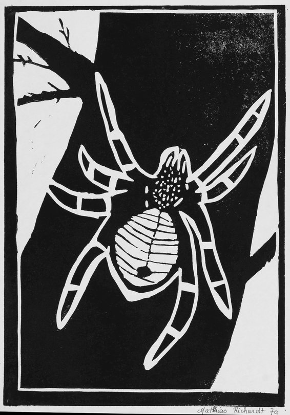 Archiv-Bild „Tiere“