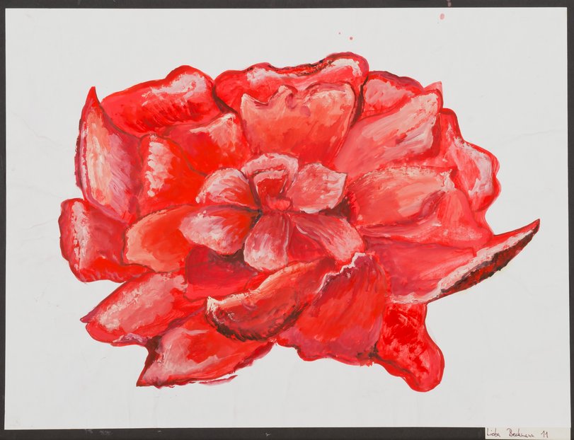 Archiv-Bild „Rose für ein Opfer des Massakers am Gutenberggymnasium“