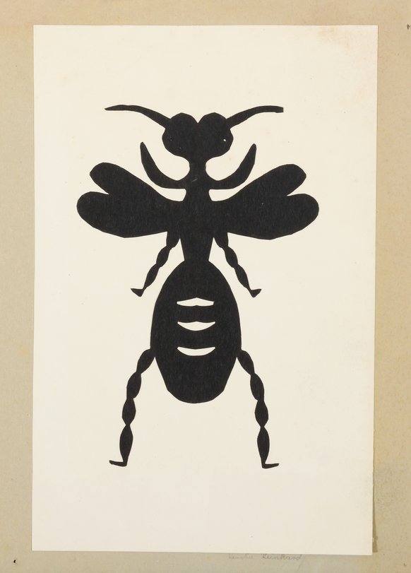 Archiv-Bild „Käfer“