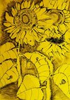 Tuschezeichnung mit dem Titel „Sonnenblume“