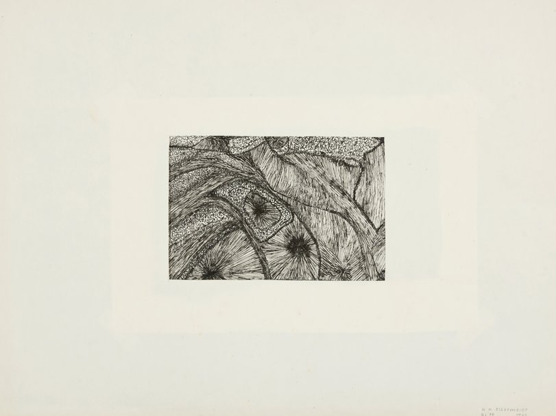 Archiv-Bild „Studie mit Holz und Knochenstrukturen - Flächenstrukturen“