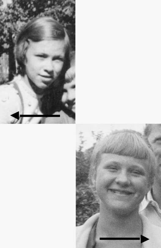 Archiv-Bild „1953, Linde“