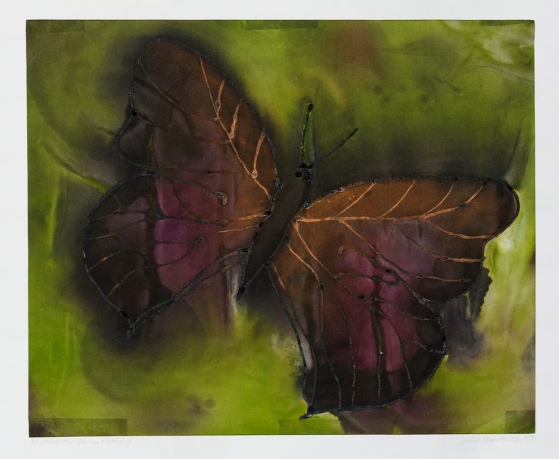 Archiv-Bild „Schillernder Schmetterling“