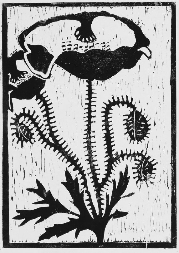 Archiv-Bild „Pflanzen“