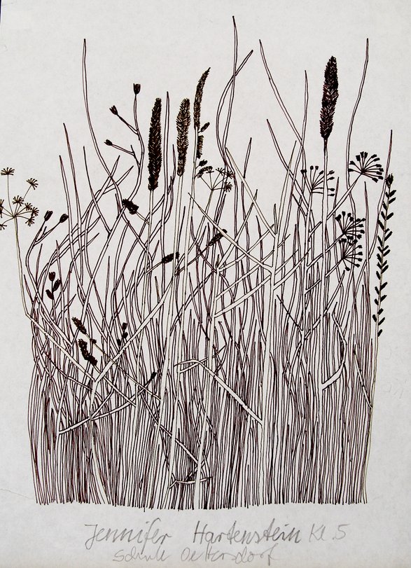 Archiv-Bild „Grasstück“