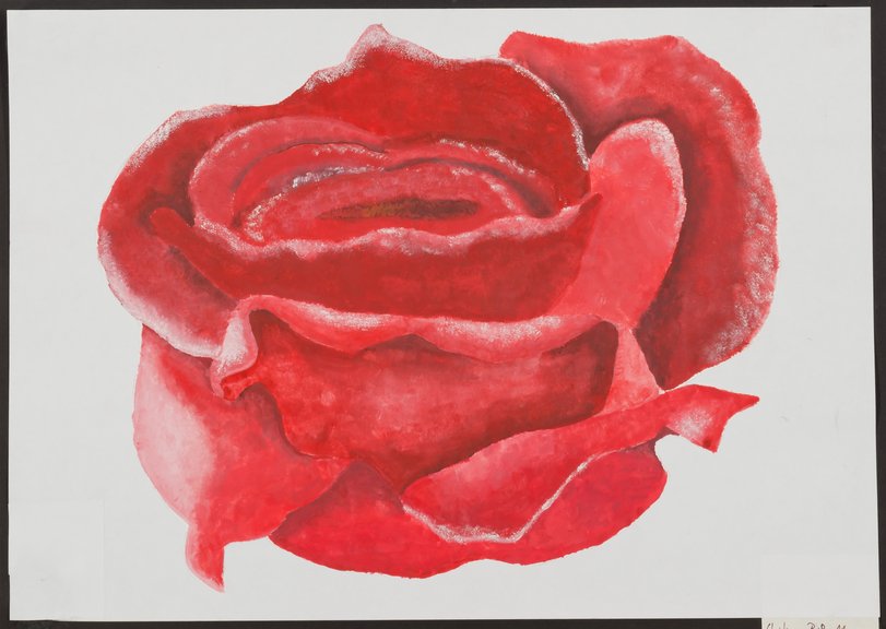 Archiv-Bild „Rose für ein Opfer des Massakers am Gutenberggymnasium“