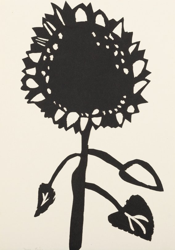 Archiv-Bild „Sonnenblume“