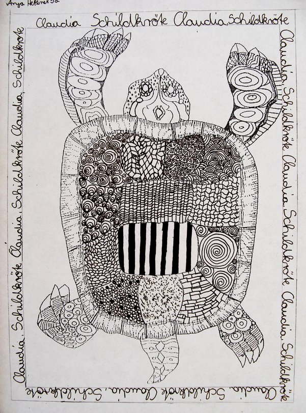 Archiv-Bild „Schildkröte“