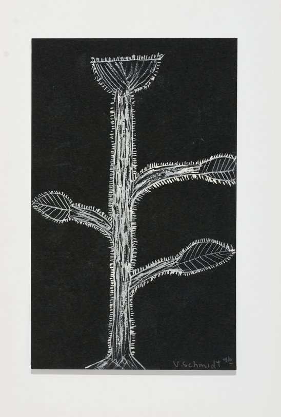 Archiv-Bild „Pflanzen“