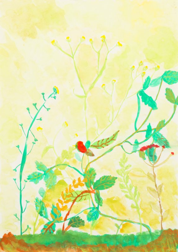 Archiv-Bild „Wiese/Rasenstück“