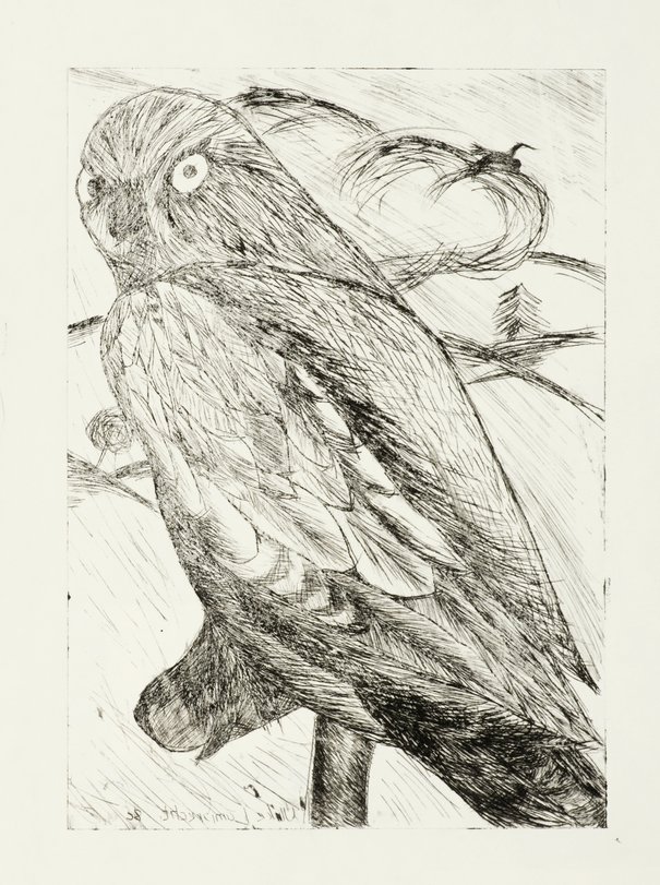 Archiv-Bild „Vögel“