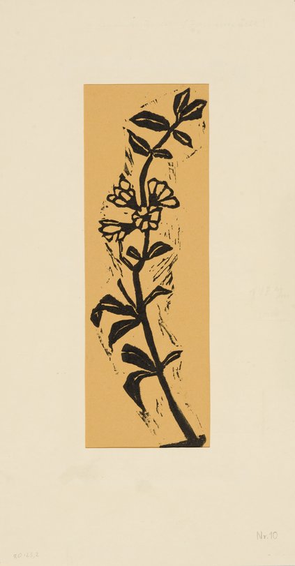 Archiv-Bild „Habt Achtung vor der Pflanzenwelt“