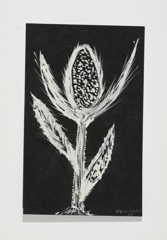 Archiv-Bild „Pflanzen“