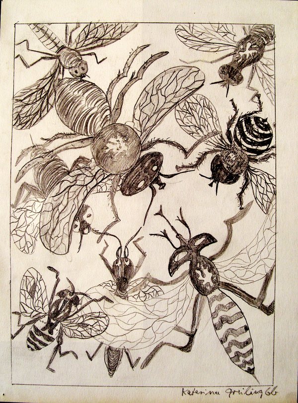 Archiv-Bild „Insekten“