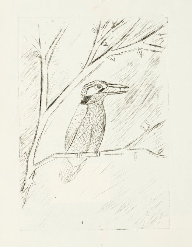 Archiv-Bild „Vögel“