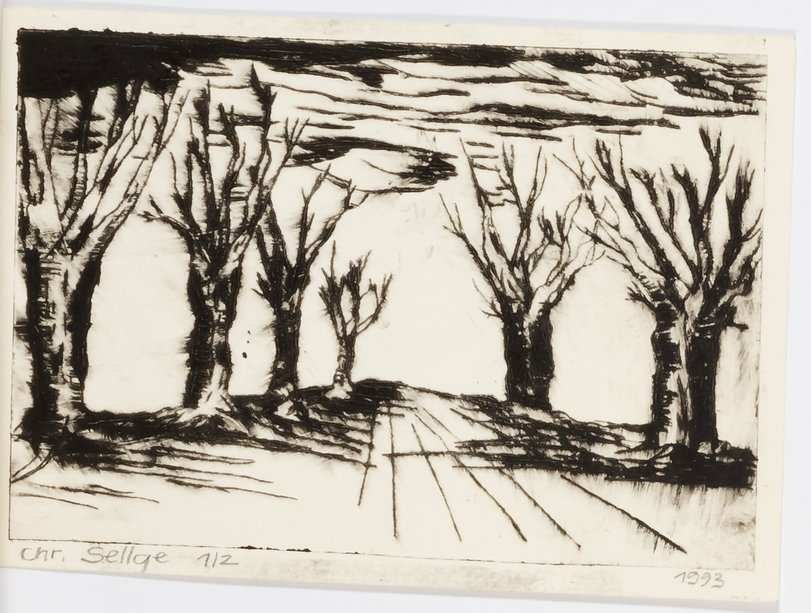 Archiv-Bild „Baum-Allee“