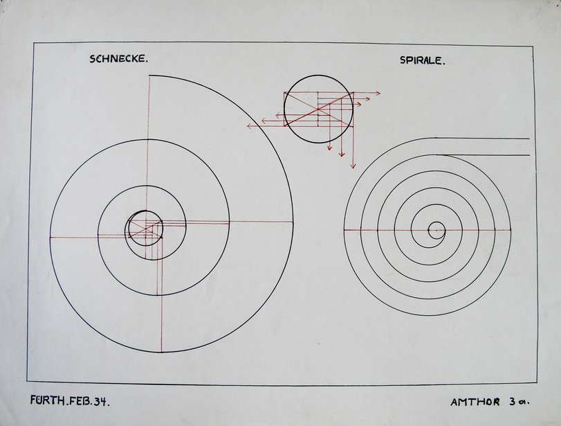 Archiv-Bild „Schnecke, Spirale“