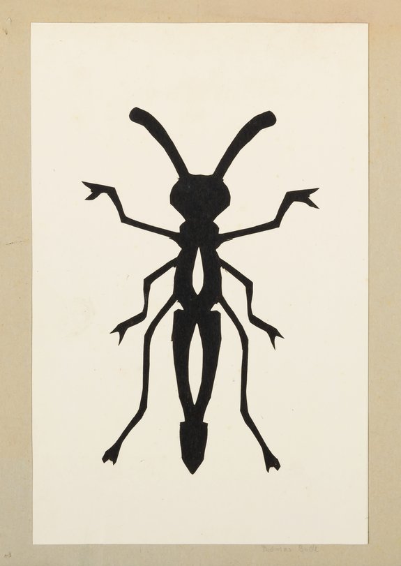 Archiv-Bild „Käfer“