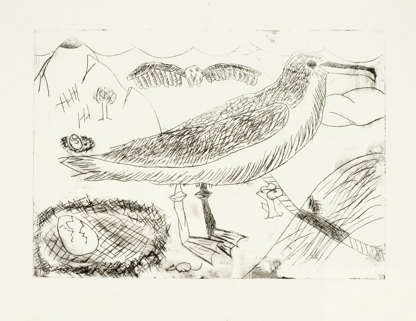 Archiv-Bild „Vögel“