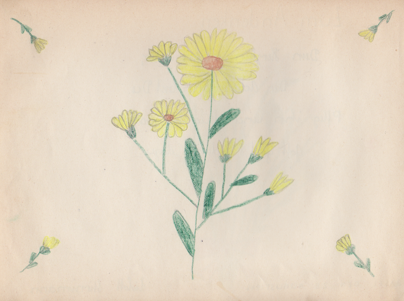 Archiv-Bild „Eintrag in ein Poesiealbum“