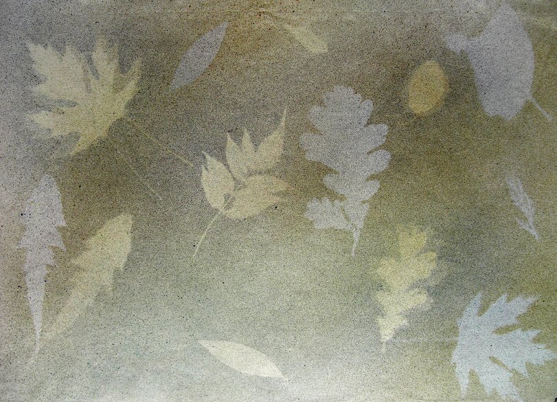 Archiv-Bild „Blätter“