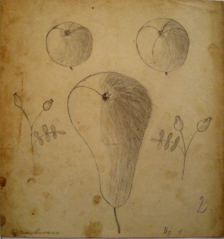 Archiv-Bild „Birne“