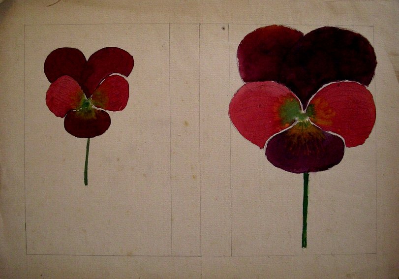 Archiv-Bild „Stiefmütterchen“