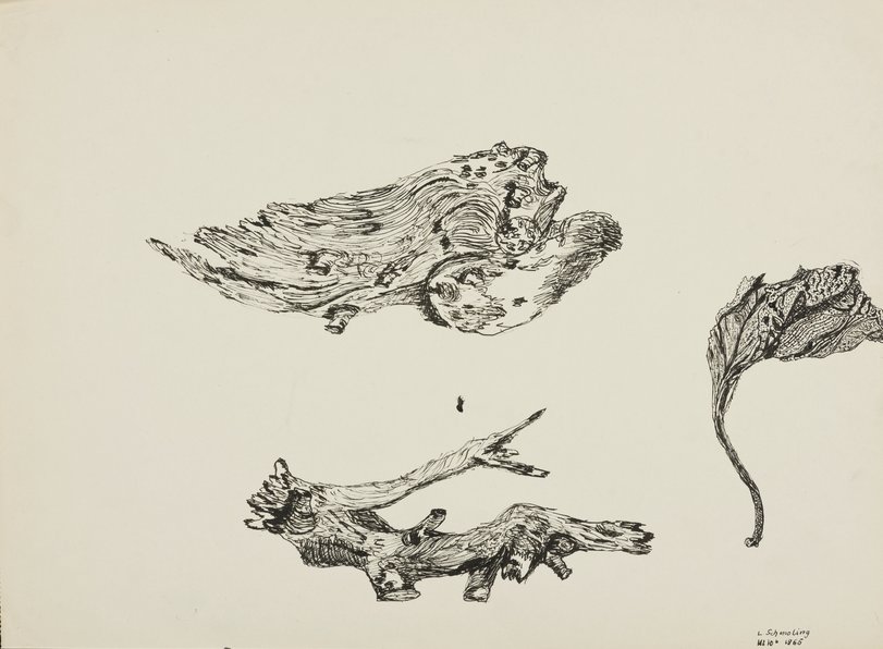 Archiv-Bild „Studie mit Holz und Knochenstrukturen“