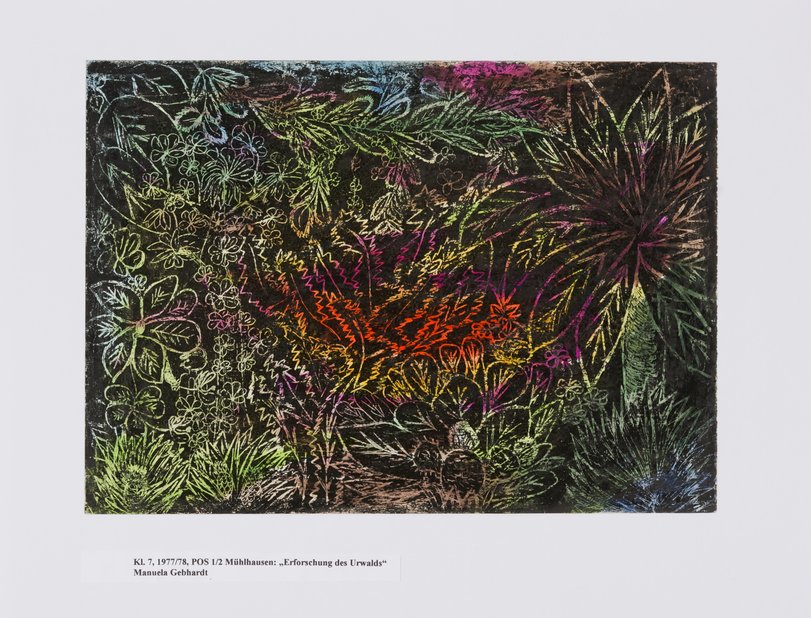 Archiv-Bild „Erforschung des Urwalds“