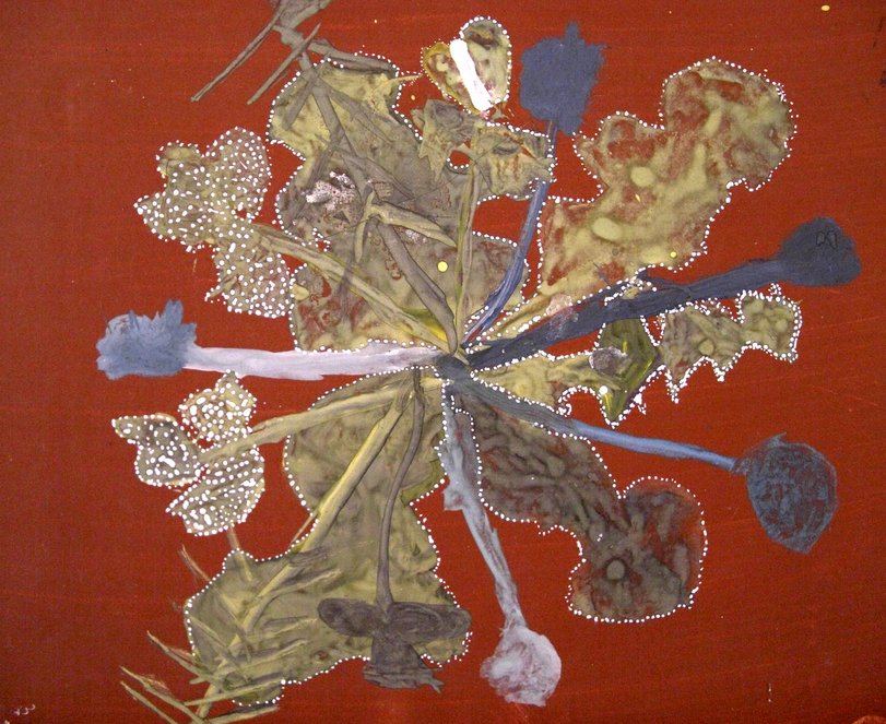 Archiv-Bild „Pflanzen im Raureif“