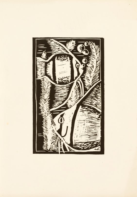 Archiv-Bild „Fische“