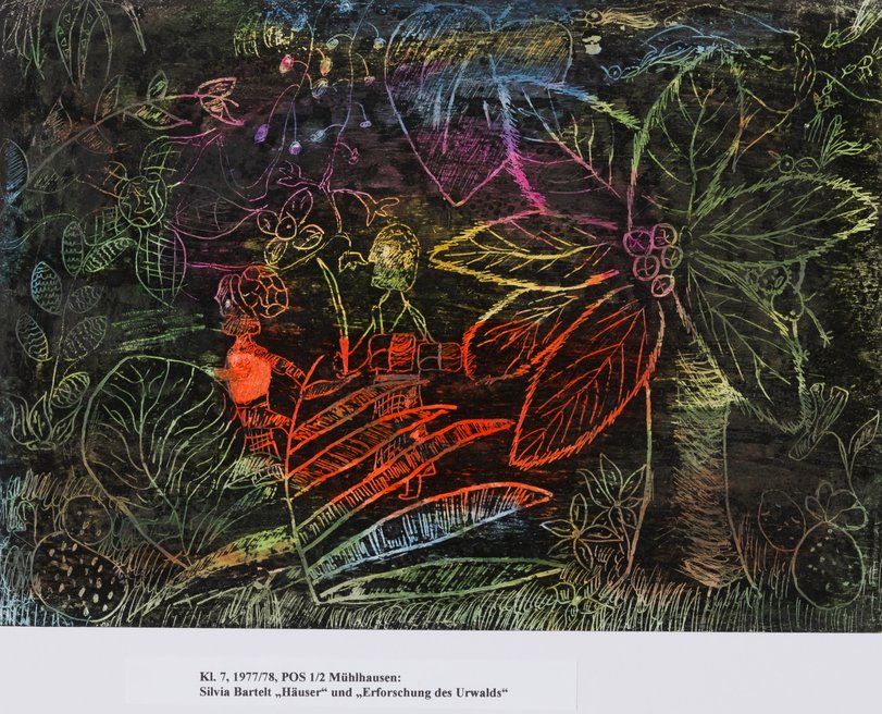 Archiv-Bild „Erforschung des Urwalds“