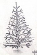 Archiv-Bild „Tannenbaum“